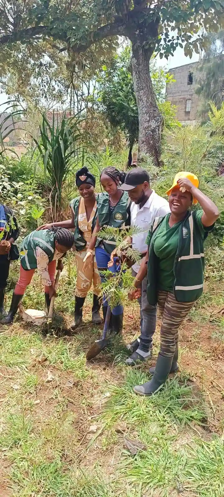 Ecosystem restoration